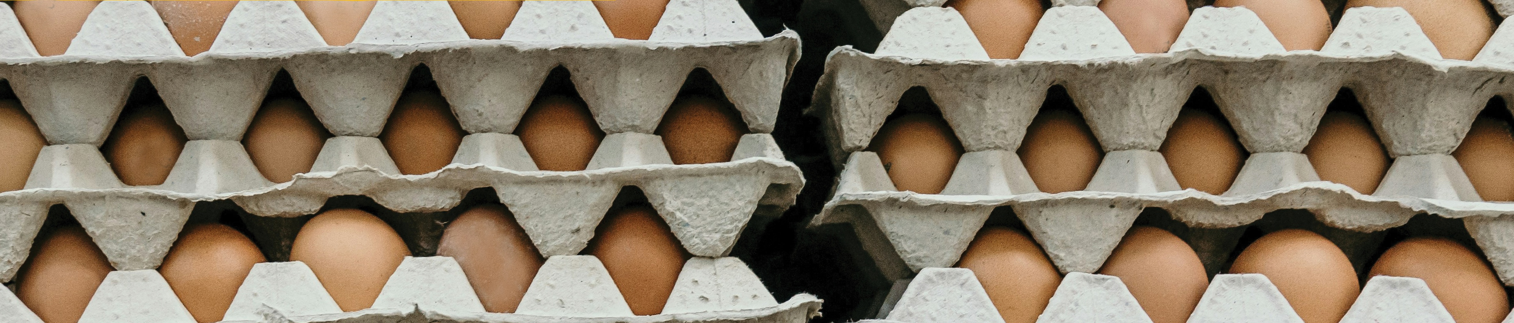 Cartons of brown eggs